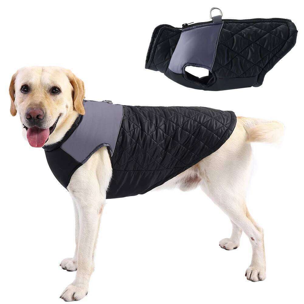 Waterproof Pet Jacket Coat For Small Big Dogs Winter Warm Dog with D-ring Puppy Reflective Clothes Labrador Bulldog Outfits