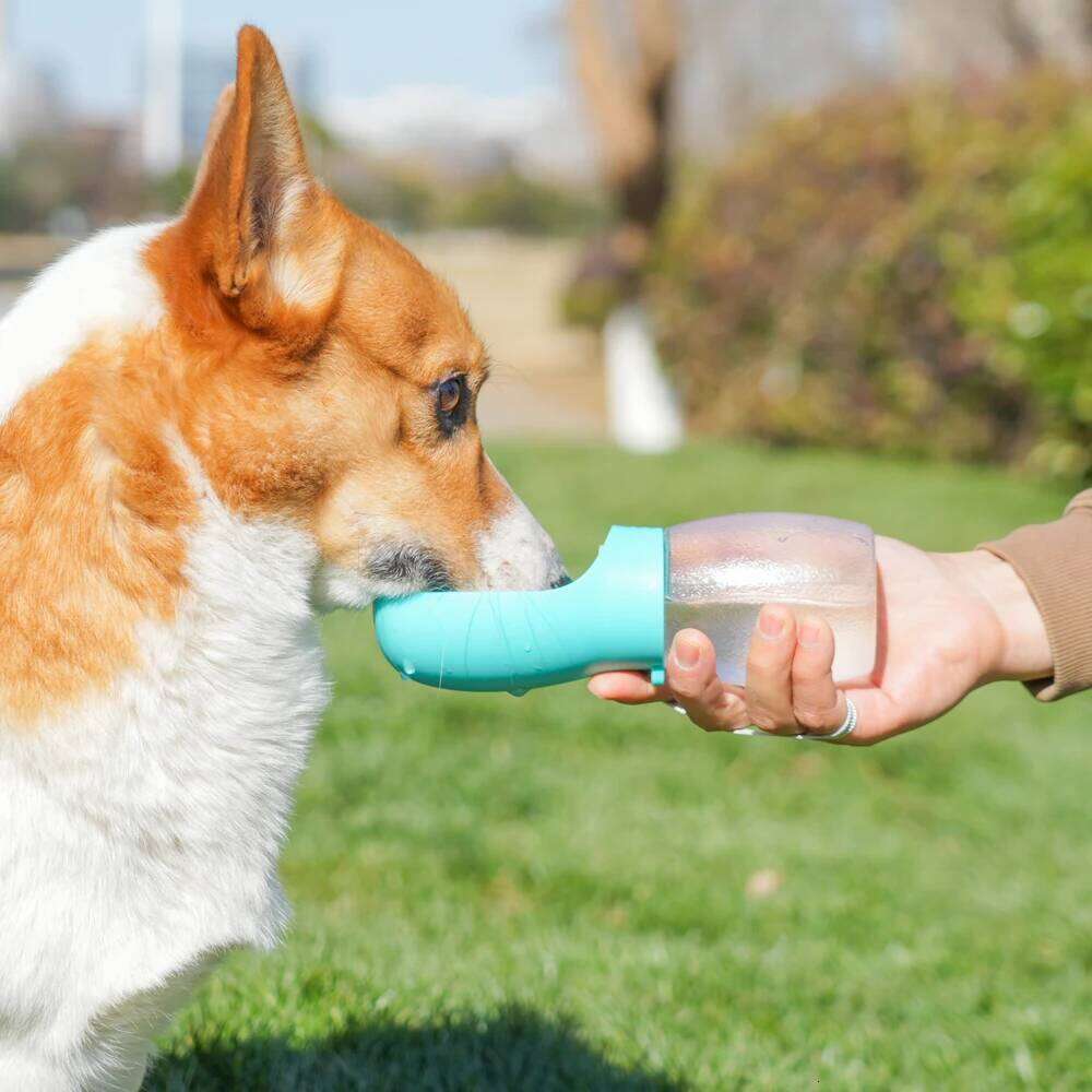 300ml Pet Dog Water Bottle For Small Large Dogs Cat Hiking Portable Outdoor Leakproof Drinking Bowls Chihuahua Bulldog Supplies