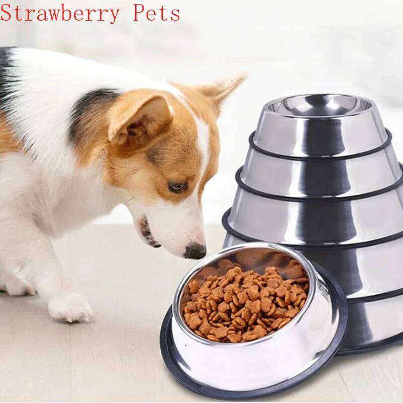 Stainless Steel Storage Container Dog Food Water Bottle Pet Bowl Feeder Dish for Small Large Dogs Cats 26W0330