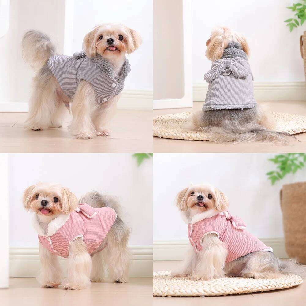 Pet Dog Coat Vest For Small Medium Dogs Cat Winter Warm Puppy Clothing With D-ring Cute Bow Kitten Costume Yorkshire Pug Outfits