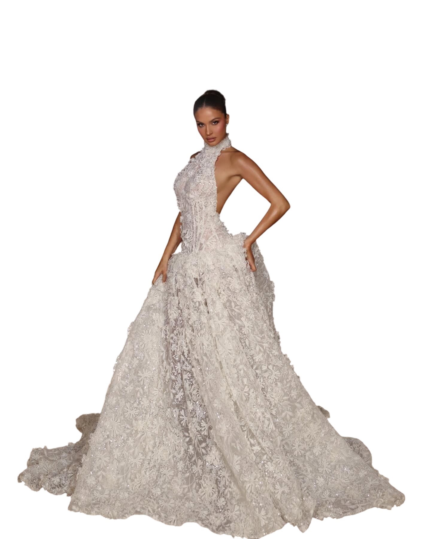 Luxury Ball Gown Wedding Dresses Halter Neck Sexy Backless Appliques Lace Bridal Gowns Sweep Train Customized Robe