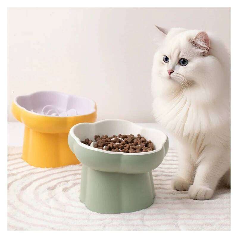 1pc Pet Slow Feeder Tall Ceramic Small Dog Cat Anti-Choking Anti-Spilling Guarded Neck Slanted Bowl 26W0330