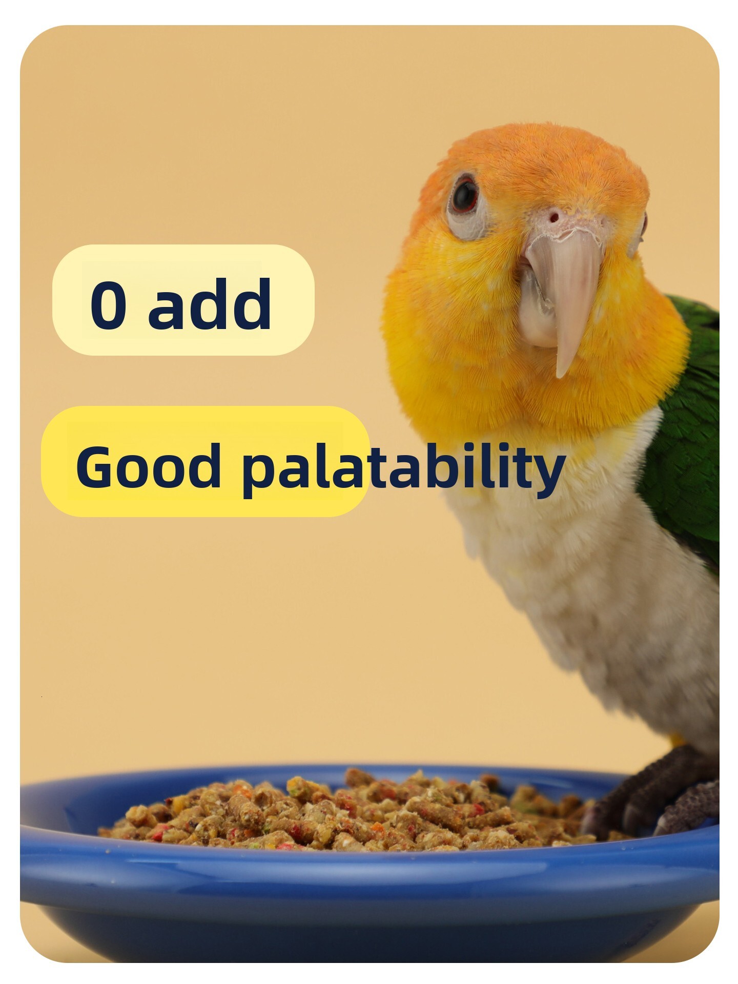 Parrot food, small sun food, monk parrot food, cockatoo food, nutritional granule food
