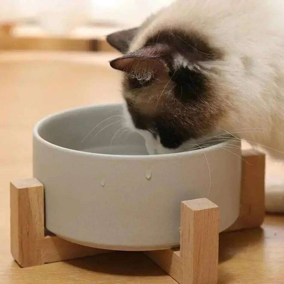 Large Capacity Wooden Rack With Ceramic Bowl Cats Dogs Cat Food And Water Feeder Pet Accessories For Home 26W0330