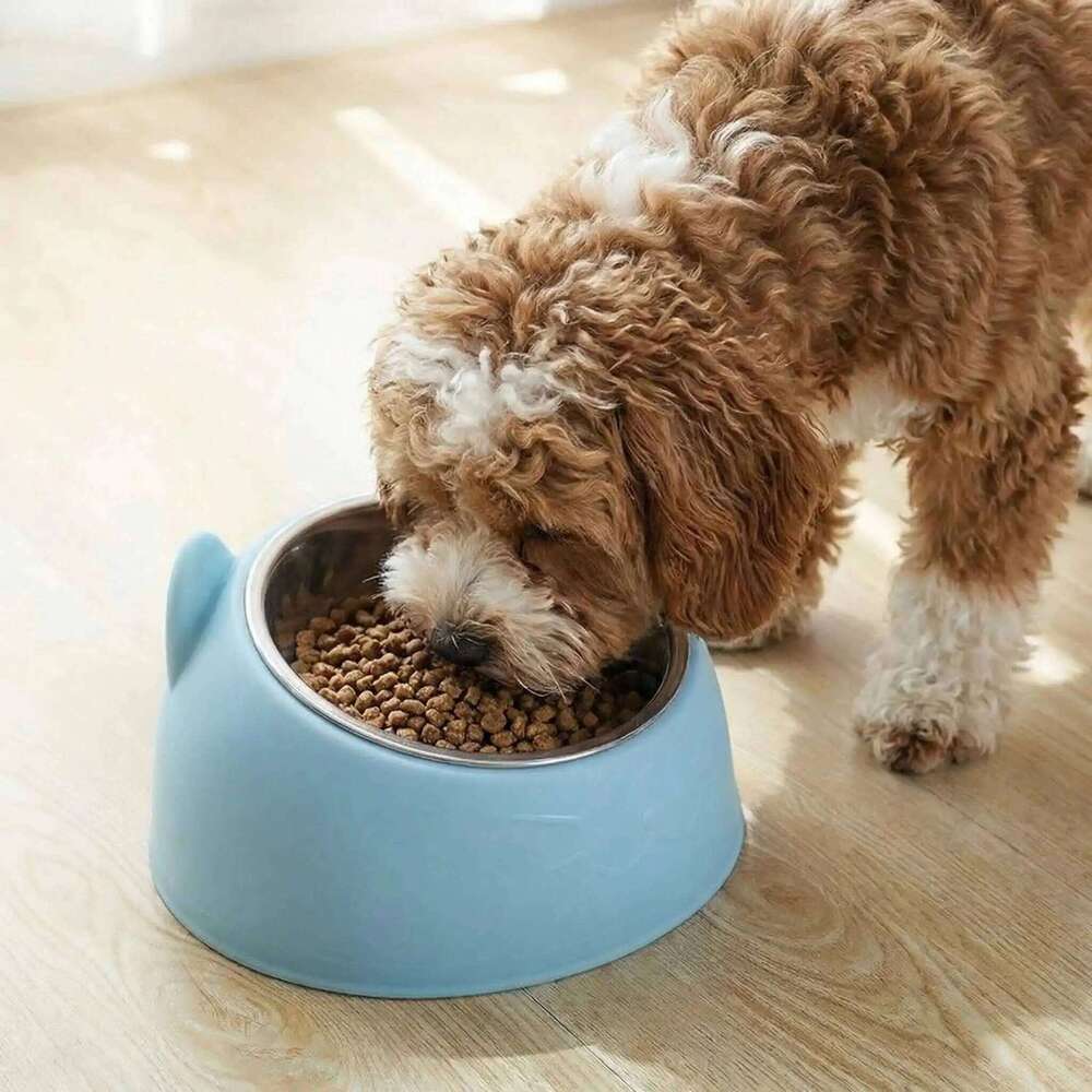 Durable Cat feeding bowl Inclined Stainless Steel small dog Drinking Feeder cat accessories Pet drinker supplies petkit scraper 26W0330