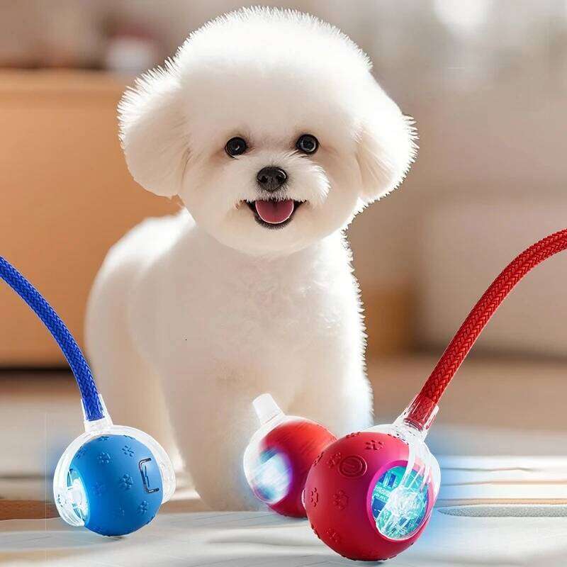 Upgrade Interactive Toys Smart Pet Interaction with Bird Sound Automatic Rolling for Cat Electric Dog Ball Toy