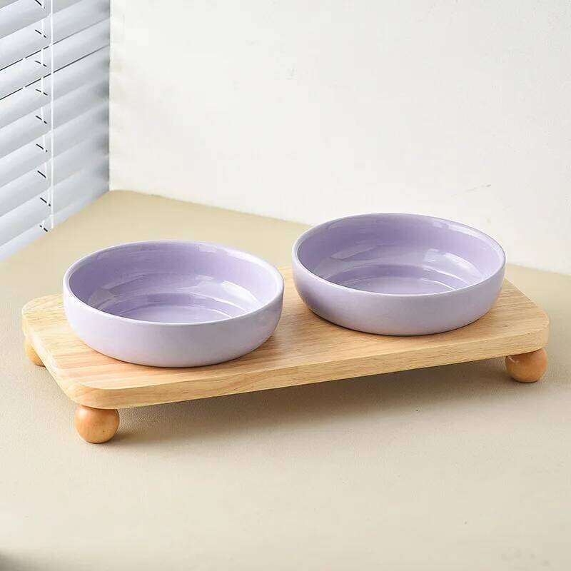 2in1 Ceramic Elevated Cat Dog Bowl with Stand Dual Food Water Feeder Dish For Neck Health Pet Non-Slip Eaasy Clean Double Bowls 26W0330