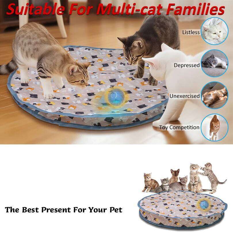Toys Ball Cover Set Fast Rolling in Pouch Hide and Seek Kitten Motion Activated Interactive Cat Toy Indoor