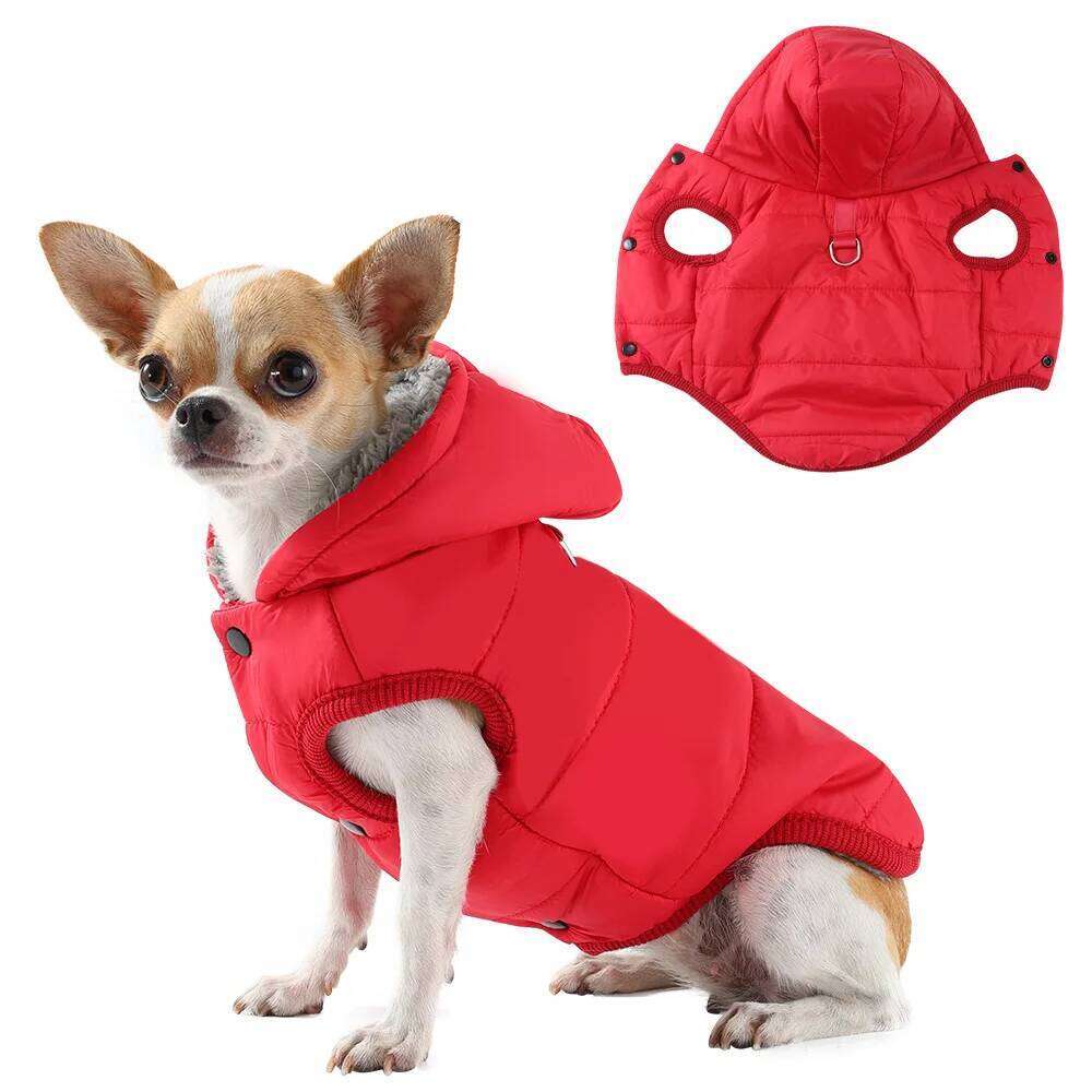 Windproof Hiking Jacket For Small Medium Dogs Cats Hooded Dog Clothes with D-ring Camping Puppy Coat Chihuahua Pug Clothing