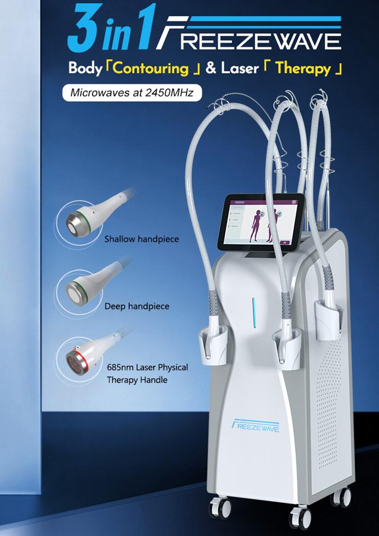 CE approval 3 in 1 Vertical 2.45GHz Microwave freeze wave Therapy Machine Slimming Weight Loss Burn Fat Weight Management Fat Removal for Beauty Salon