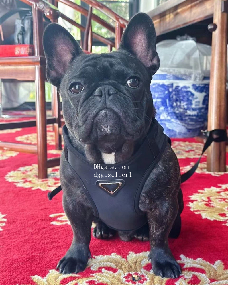 t Phone Case For iPhone 11 Pro MAX XS XR X 8 Plus Samsung Note 10 S10 Anti-knock TPU Protective Shockproof Clear Cover Cosplay