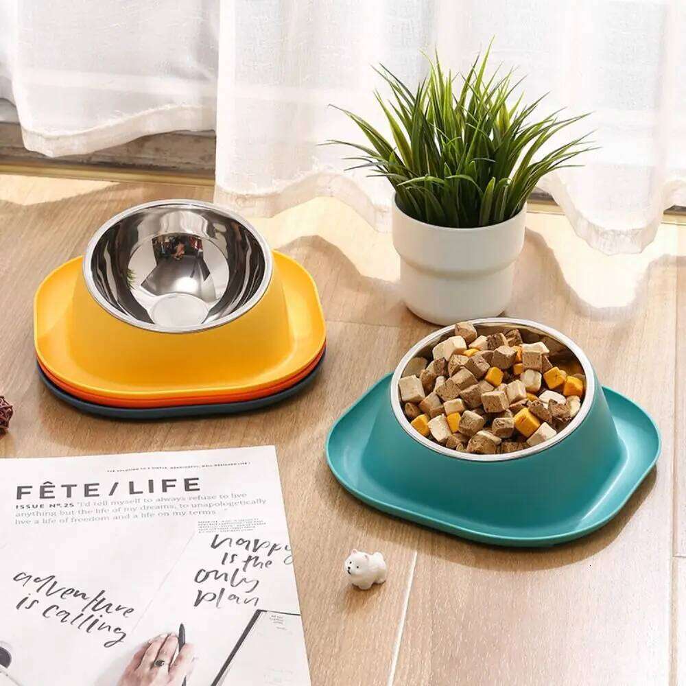 Stable Double Bowls Stainless Steel Elevated Dog Water Bowl Detachable Prevent Overflow Cat Food Container Pet Supplies 26W0330