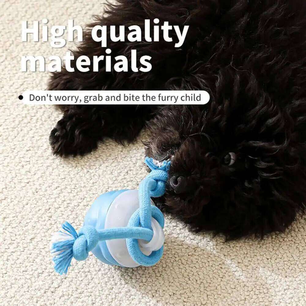 Interactive Toys Smart Rolling Ball With Rope Motion Activated Automatic Moving Squeaky Dog Training Puppy Chew Toy Balls