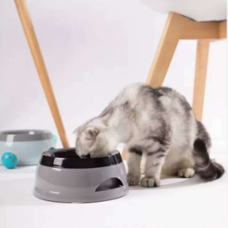 Portable Plastic Dog Bowls No Spill Floating Design Non-Slip Cat Bowl Water Feeder Dry Mouth Support Pet Accessories 26W0330