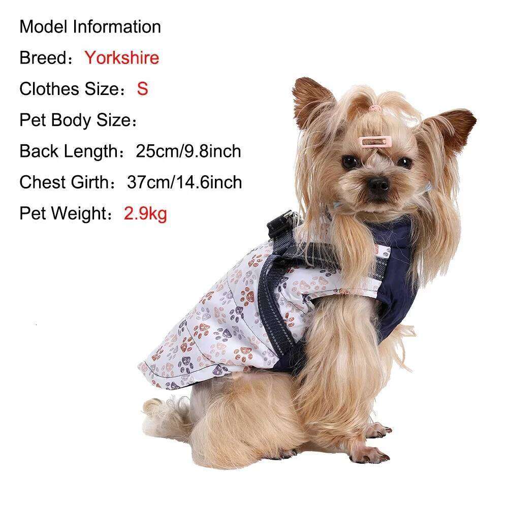 Hiking Pet Dog Clothes For Small Medium Dogs Cats Outdoor Camping Coat Waterproof Puppy Clothing with Sphynx Chihuahua Costume