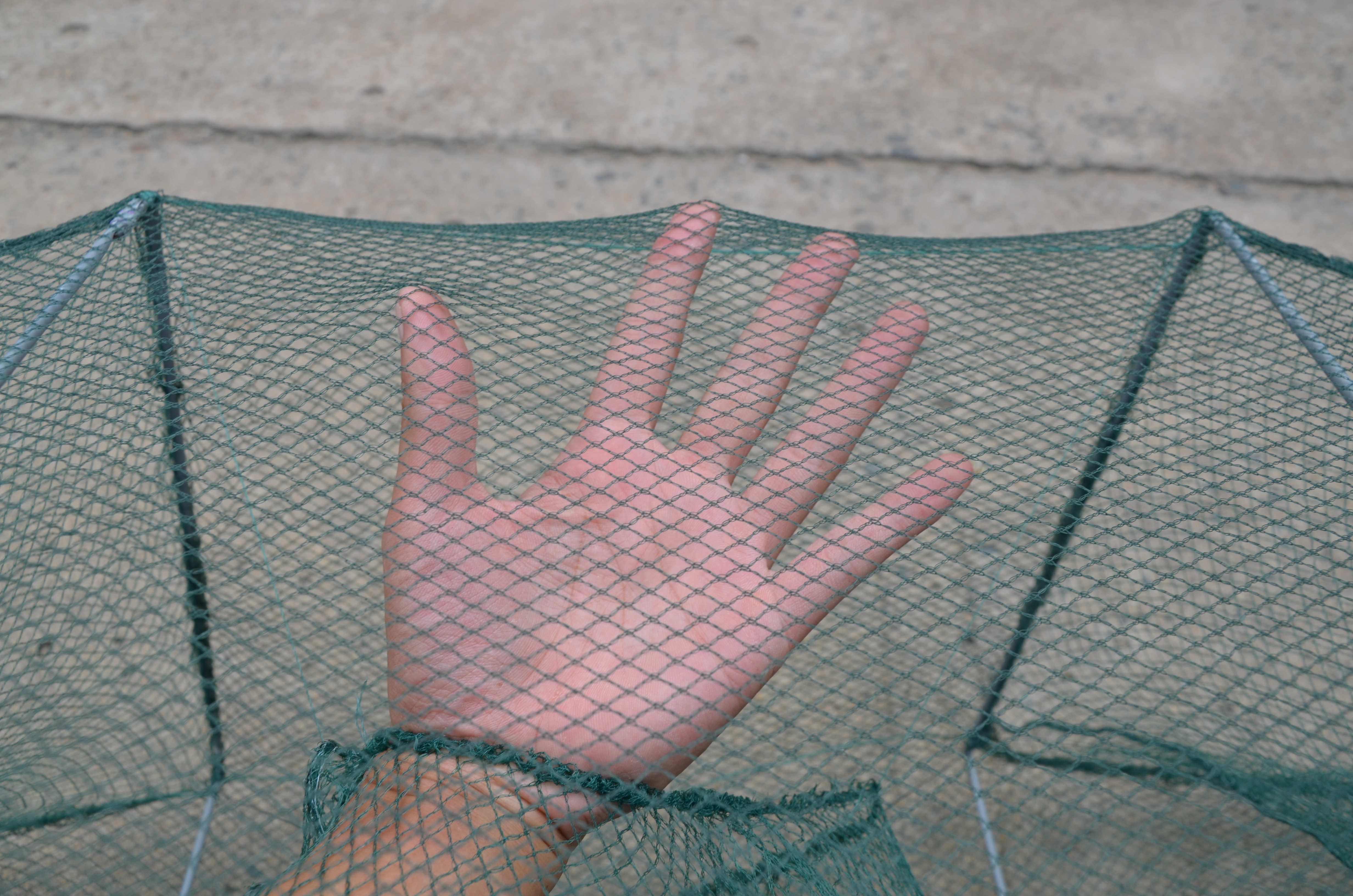 fishing fishnet fishing cast net fish cageEco-Friendly Fish Gathering Equipment: Robust Meshed Nets with Easy Retrieval