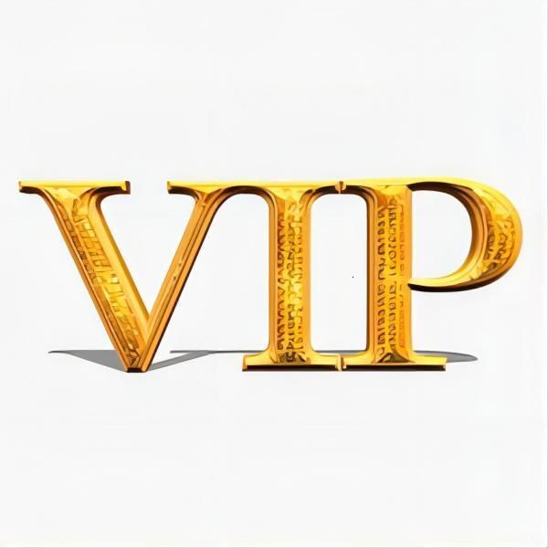 VIP Custom payment link wholesale high quality and low price123456