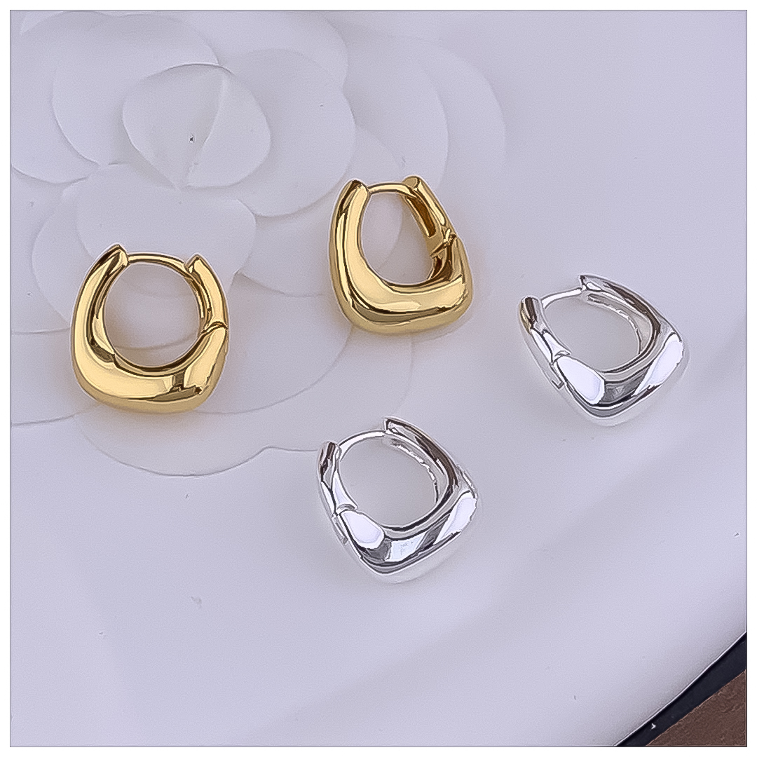 Designer Earrings Designer Earrings Women 18K Gold Silver Plated Earring Matte C Shape Hoop Earrings Luxury Jewlery Designer Sparkling Free Shipping B