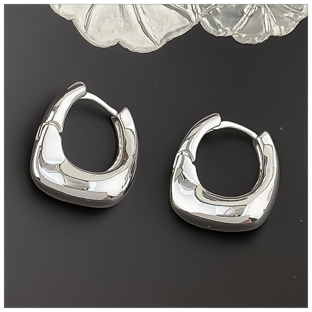 Designer Earrings Designer Earrings Women 18K Gold Silver Plated Earring Matte C Shape Hoop Earrings Luxury Jewlery Designer Exclusive Free Shipping B