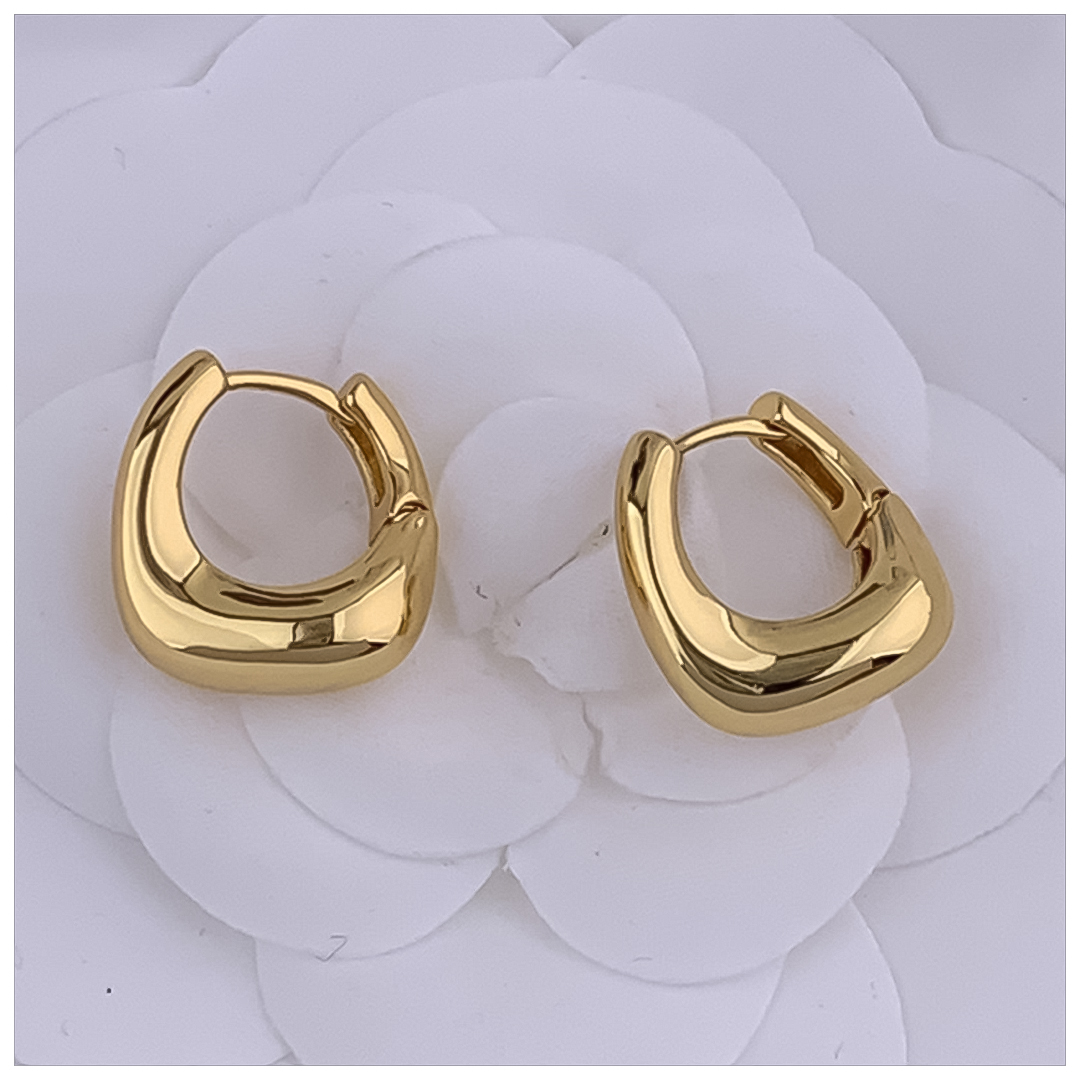 Designer Earrings Designer Earrings Women 18K Gold Silver Plated Earring Matte C Shape Hoop Earrings Luxury Jewlery Designer Sparkling Free Shipping B