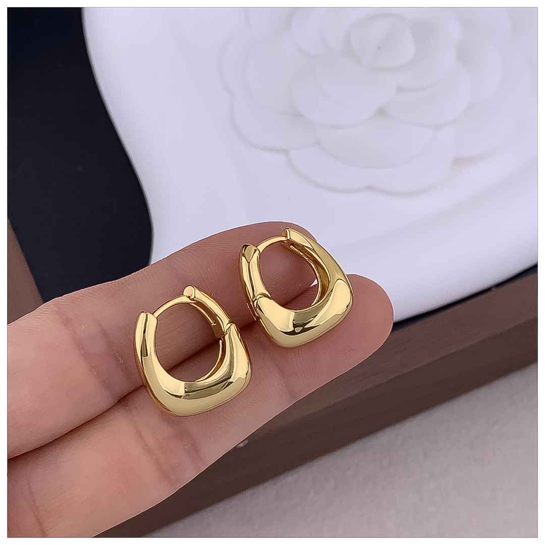 Designer Earrings Designer Earrings Women 18K Gold Silver Plated Earring Matte C Shape Hoop Earrings Luxury Jewlery Designer Sparkling Free Shipping B