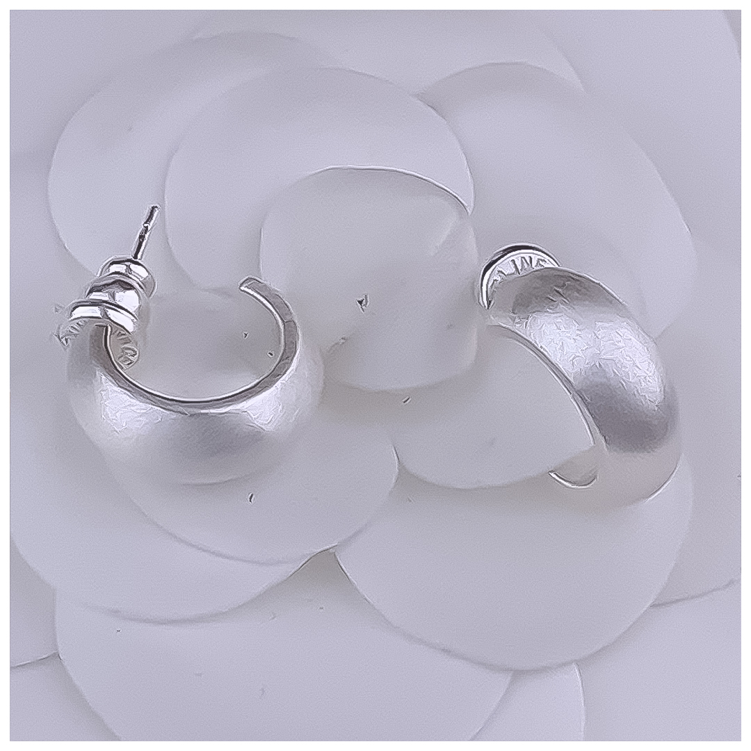 Designer Earrings Designer Earrings Women 18K Gold Silver Plated Earring Matte C Shape Hoop Earrings Luxury Jewlery Designer for Women Elegant Timeles