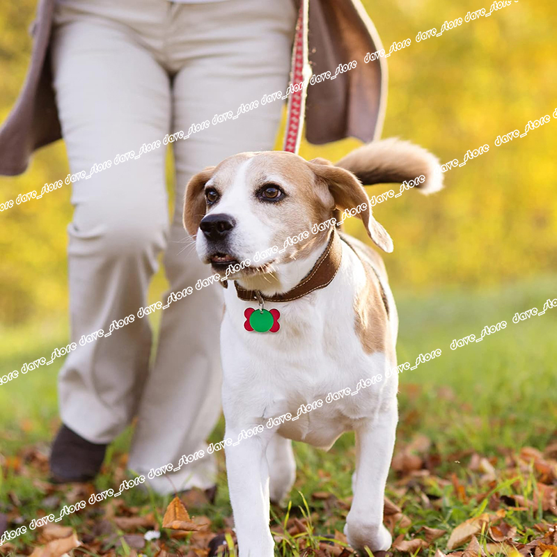 DIY ID Card Pet Metal Aluminum Alloy Pet Tags Durable Easy To Use Dog Cat Tags - view 6