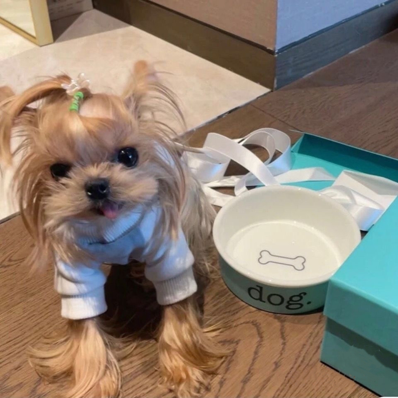 Luxury Pet Bowl Heavy Duty, Non-Slip, Round Ceramic Food/Water Bowl for Pets, Ideal for Small Cats Medium Dogs or Multiple Animals, Dishwasher Safe Do