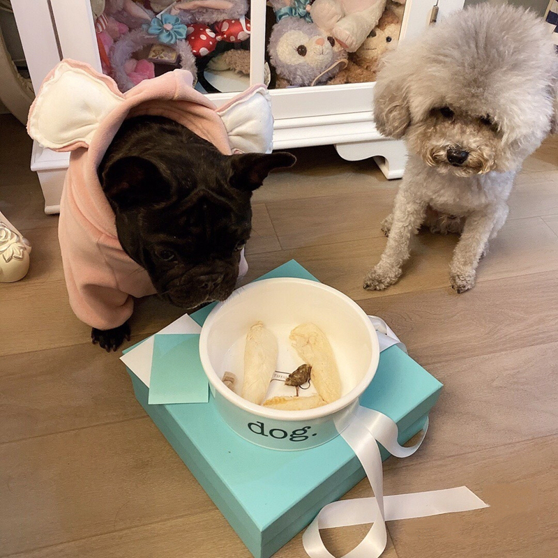 Luxury Pet Bowl Heavy Duty, Non-Slip, Round Ceramic Food/Water Bowl for Pets, Ideal for Small Cats Medium Dogs or Multiple Animals, Dishwasher Safe Do