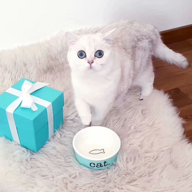 Luxury Pet Bowl Heavy Duty, Non-Slip, Round Ceramic Food/Water Bowl for Pets, Ideal for Small Cats Medium Dogs or Multiple Animals, Dishwasher Safe Do