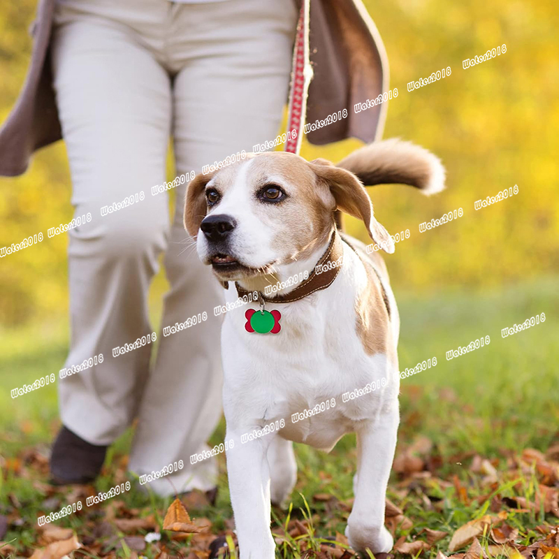 DIY ID Card Pet Metal Aluminum Alloy Pet Tags Durable Easy To Use Dog Cat Tag
