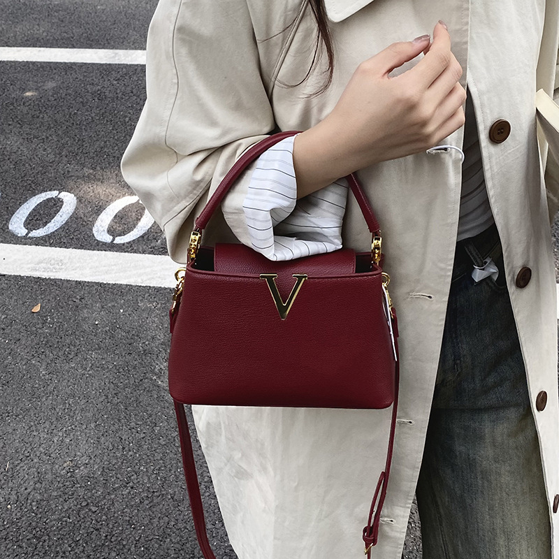 designer luxury 2026 trendy and popular personalized versatile light luxury niche design women's bag Practical