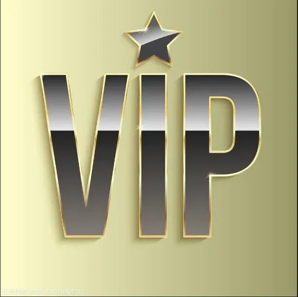 VIP customer payment links, designated orders, customized products,for Mr Li