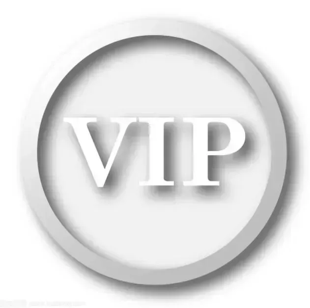 VIP customer payment links, designated orders, customized products,for Mr Li