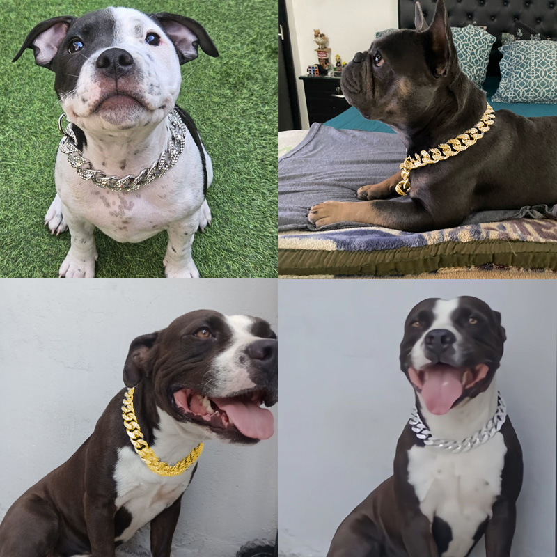 ABS Plastic Dog Collar Chain Diamond Inlay Sparkle Bulldog Necklace Cat Collars Pet Accessories Small Medium Large Dogs Golden - view 5
