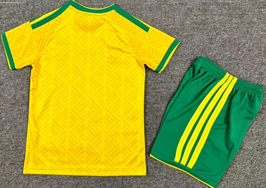2026 world cup South Africa kids dogs jerseys ,new arrival youth pets jerseys and shorts South Africa country size 16-28,jerseys away and home shorts