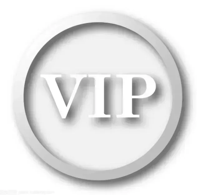 VIP customer payment links, designated orders, customized products,from Mr Li