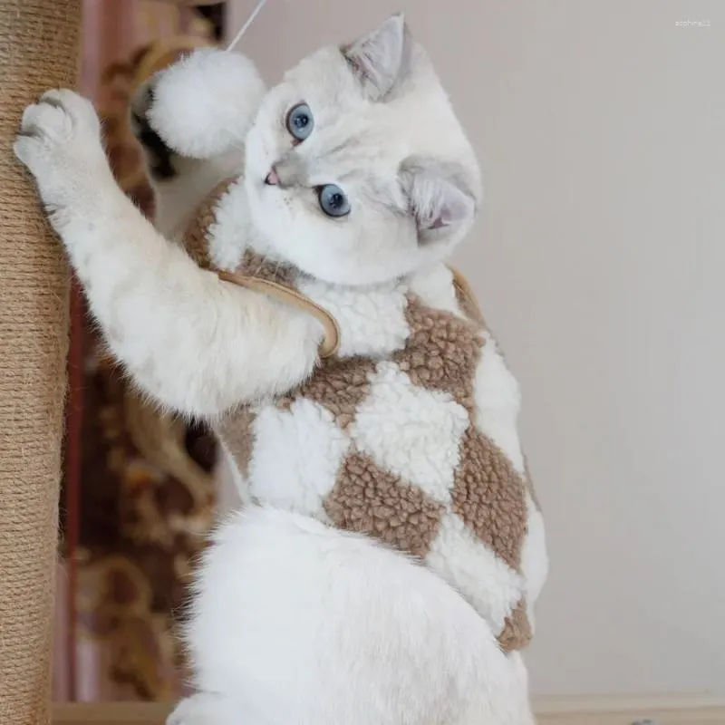 Trendy Canine Couture Petite Pet Fashions Including Adorable Jackets and Comfortable Vests HF49