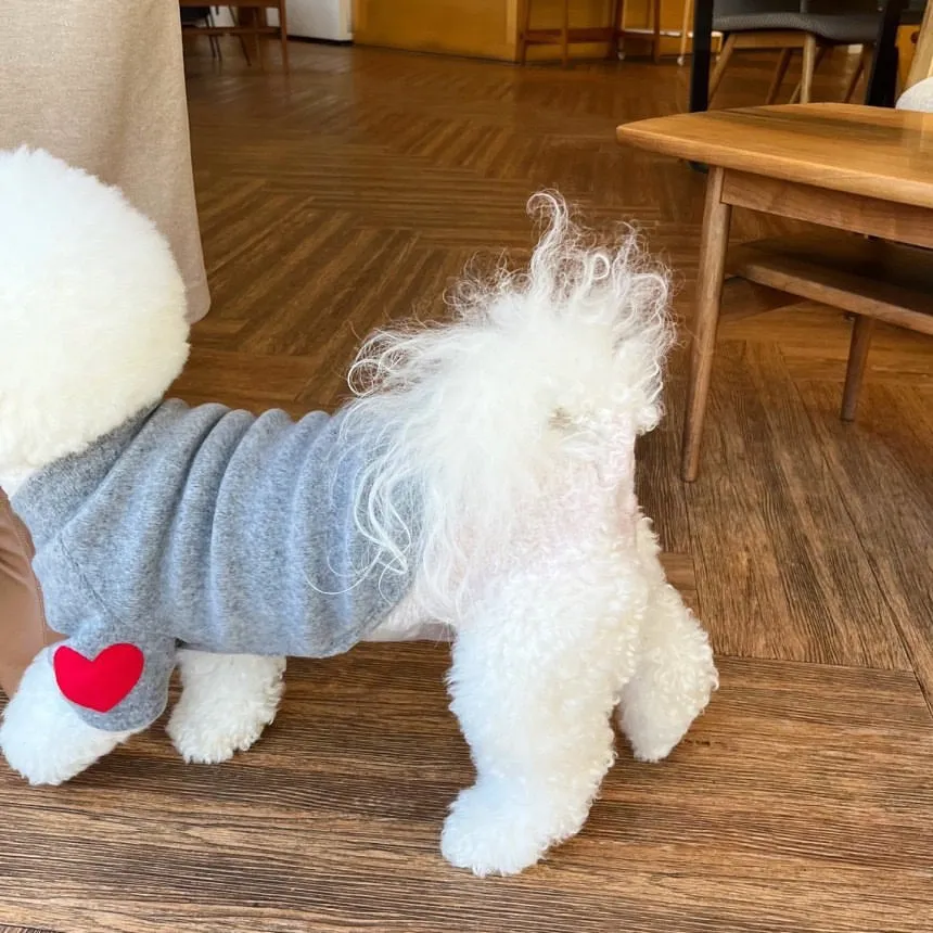 Chic Animal Print Thick Fleece Jacket for Pets: Ideal Fall/Winter Wear HF35