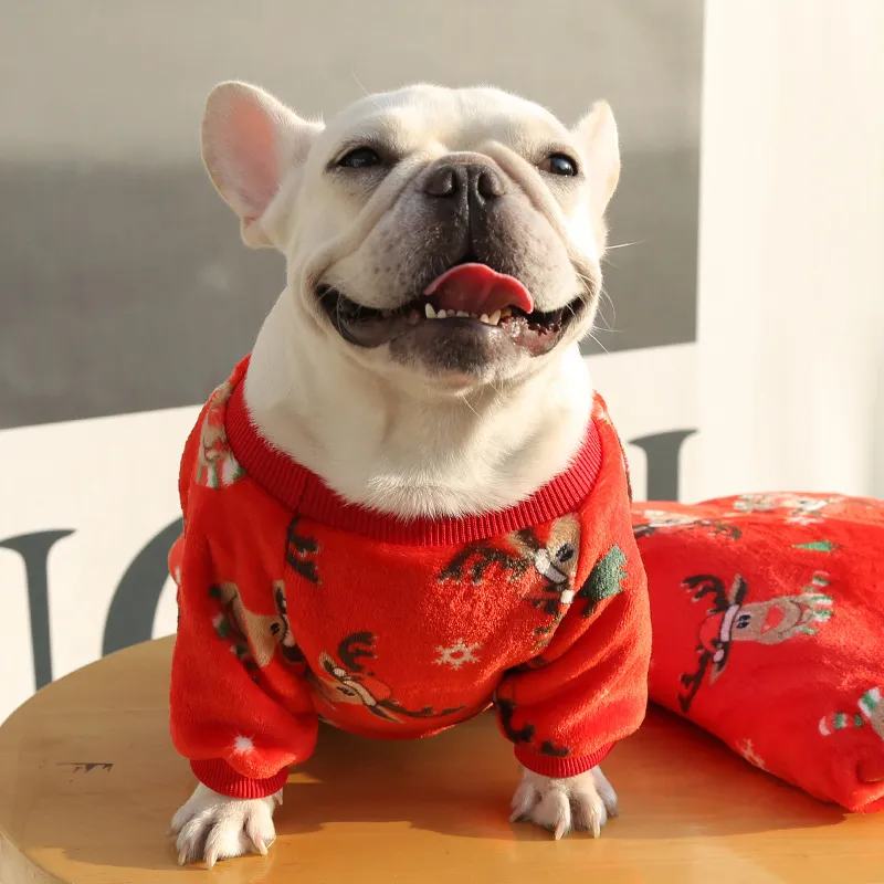 Festive Seasonal Ensembles: Adorable Pet Clothes Featuring Bulldogs, Kittens & More HF42