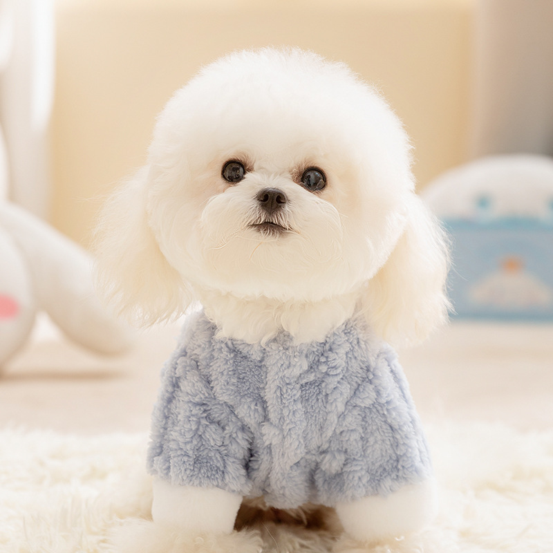 Luxurious Small Puppy Outerwear with Soft Velvety Fabric Suitable for Chilly Weather HF60