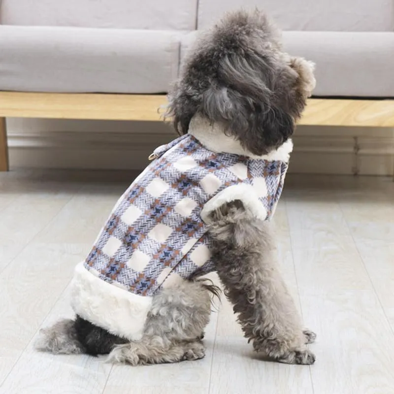 Chic Cold Weather Gear: Plaidsuit Combining Comfortable Pet Dress & Secure Leash Attachment HF28