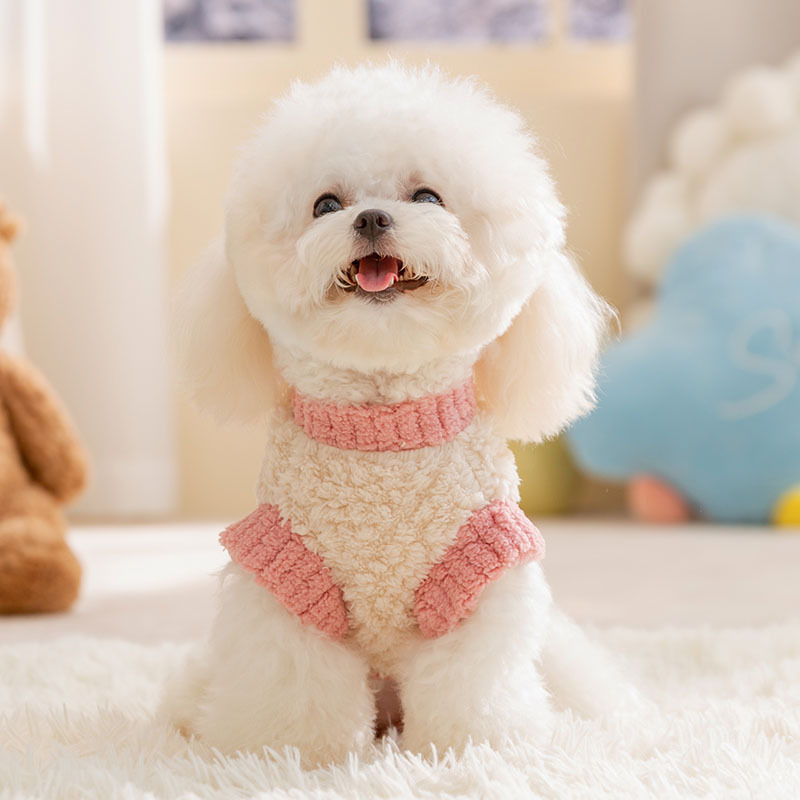 Charming Two-Footed Velvet Jacket Keeps Your Canine Comfy During Fall/Winter HF55