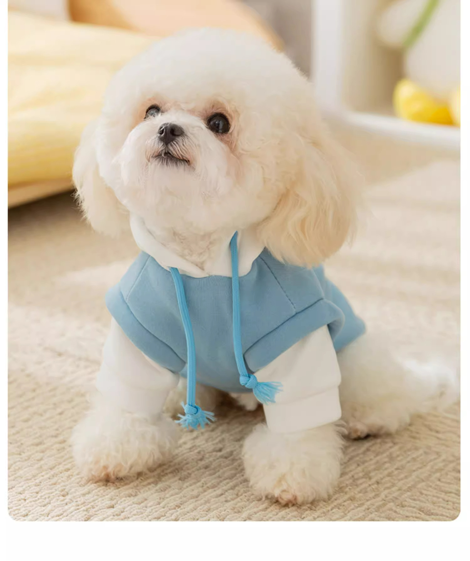 Trendy Seasonal Canine Garb - Comfortable Padded Sweaters Featuring Accessory Headwear Options HF54