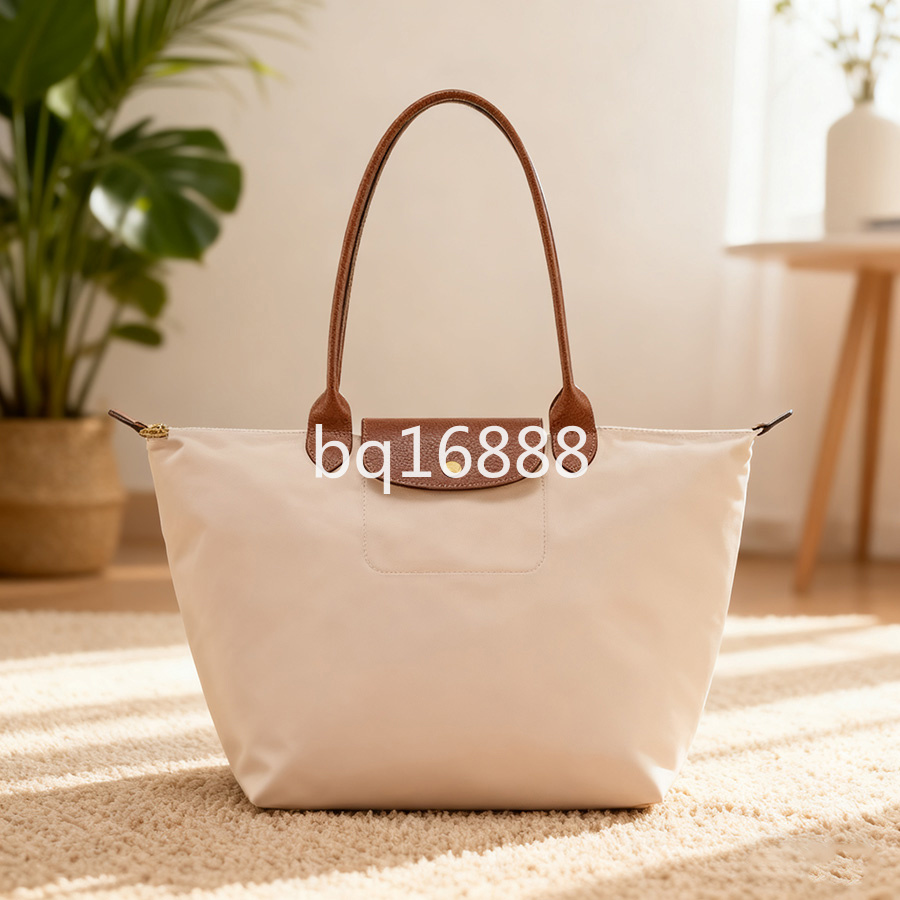Shoulder Bags for Women Luxury Handbags Designer Women Messegner Crossbody Bag Female Casual Famous Tote Top-handle Bag E300-2