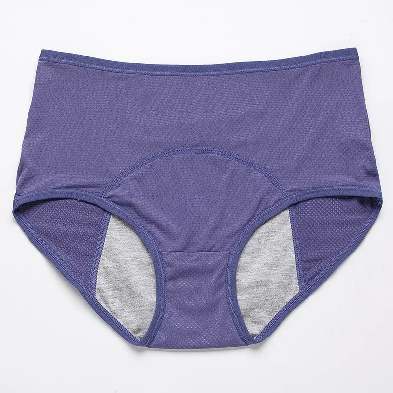 2pcs Physiological Briefs Girl Menstrual Panties Ladies Period Leak Proof Panty Mid Waist Ice Silk Underwear 260522