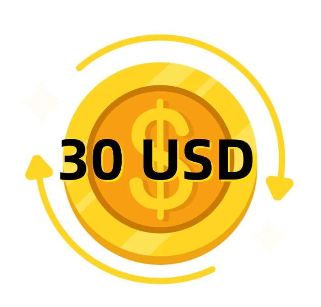 lvixngyue Payment link This link is used to supplement the pri 001