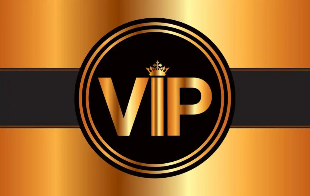 VIP customer payment links, designated orders, customized products,for JoJO