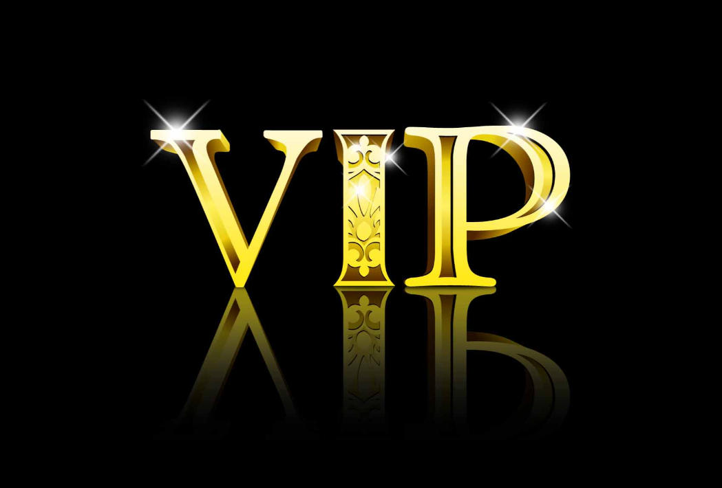 VIP customer payment links, designated orders, customized products,for JoJO