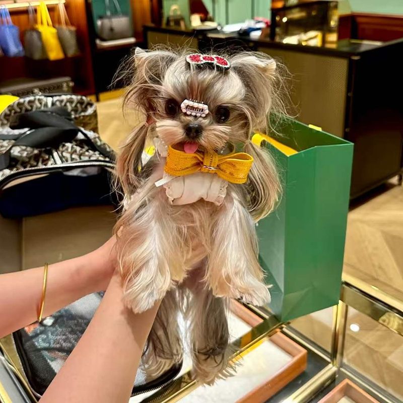 Designer Dog Collar with Bow Luxury Pet Collar Premium Leather and Patterned Fabric Puppy Kitten Neckwear Adjustable Designer Style Dog Cat Collar - view 4